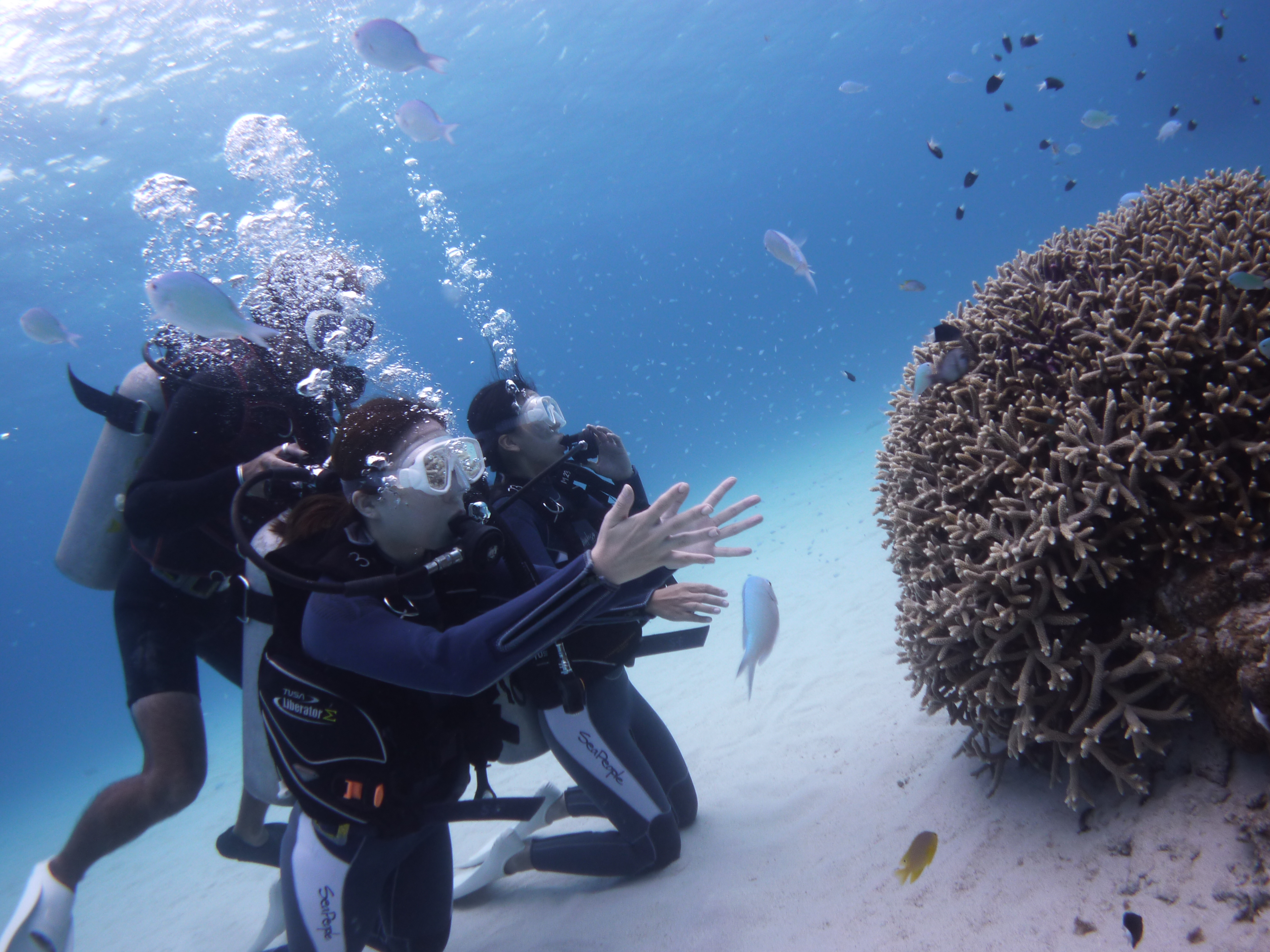 ボートシュノーケリング